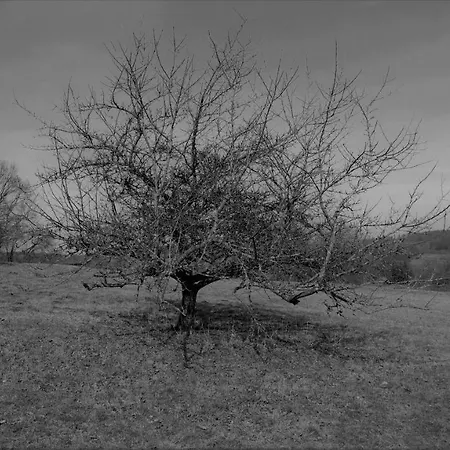 Fewo Greifenstein Διαμέρισμα *