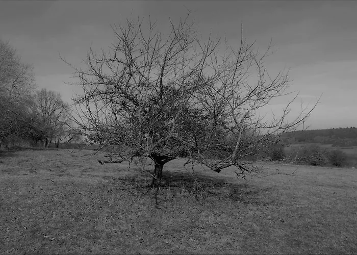 Fewo Greifenstein Διαμέρισμα *